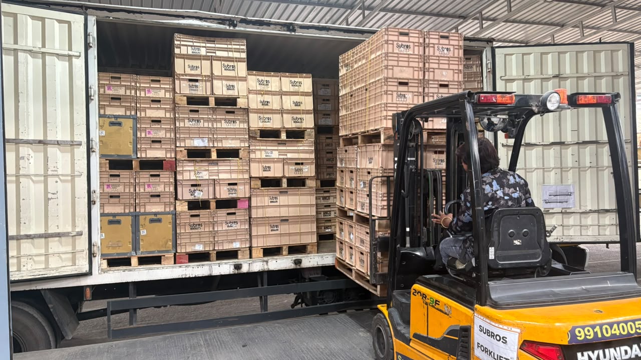 Original PCL photograph of forklift loading and returnable bin movement at a truck dock